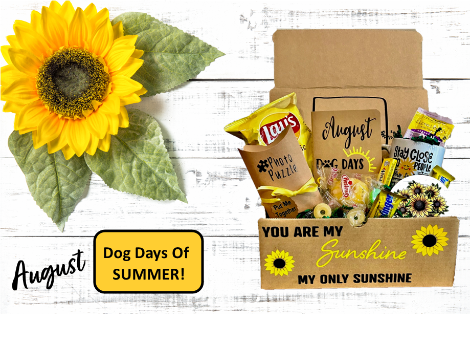 Gift Box-  Senior Monthly Program-  Dog Days Of Summer-  August